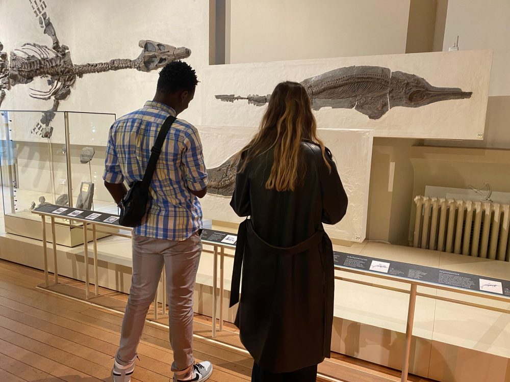 This image shows two young people standing in front of some pre-historic fossils at Leicester museum and Art Gallery.