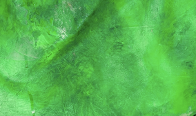 A zoomed-in image of a green artwork